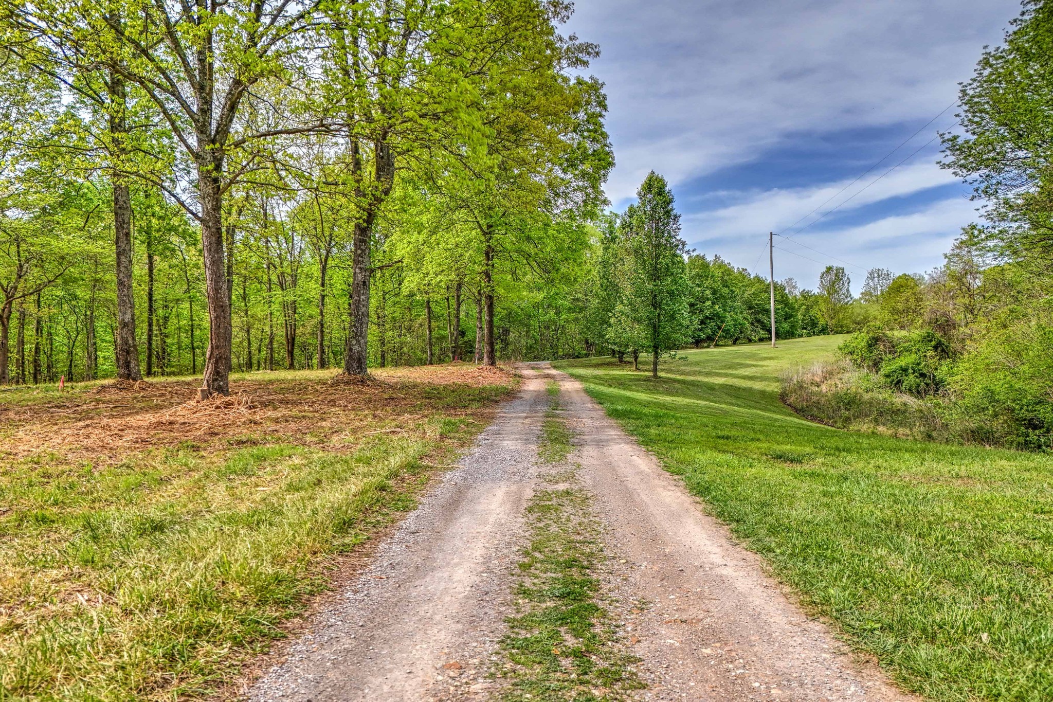 0 Rbk Lane Bethpage TN 37022