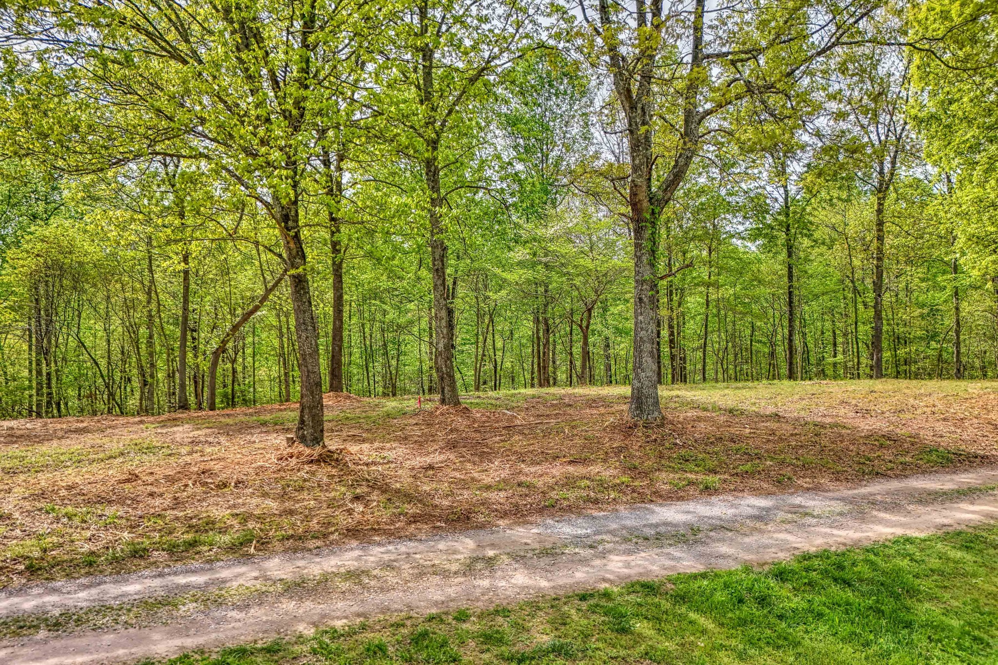0 Rbk Lane Bethpage TN 37022