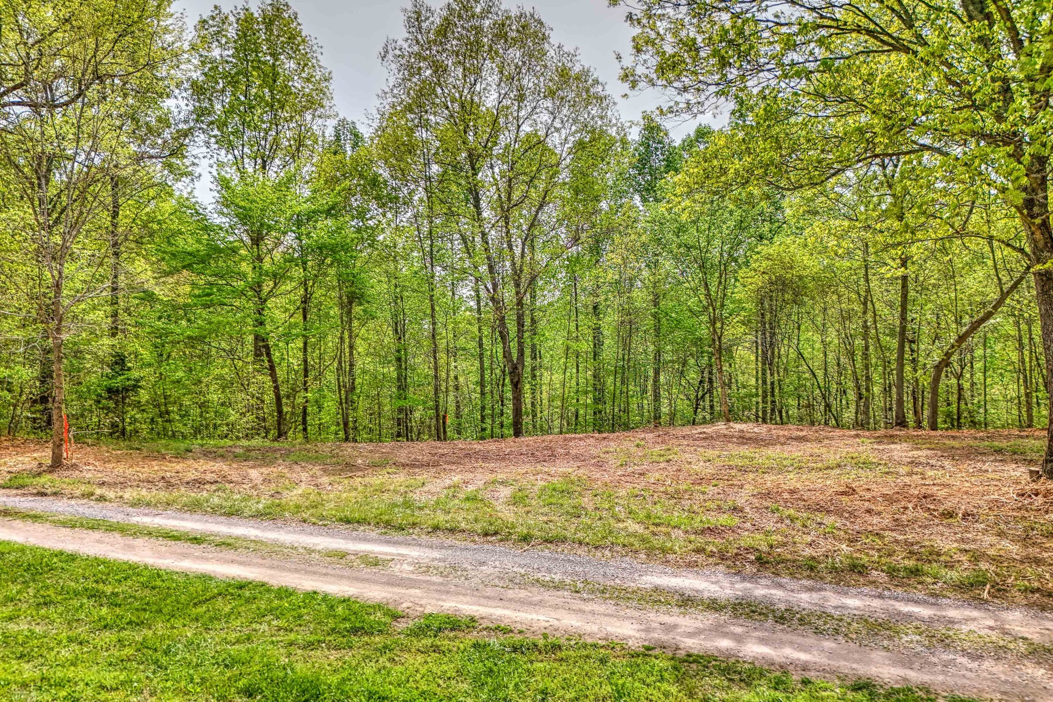 0 Rbk Lane Bethpage TN 37022