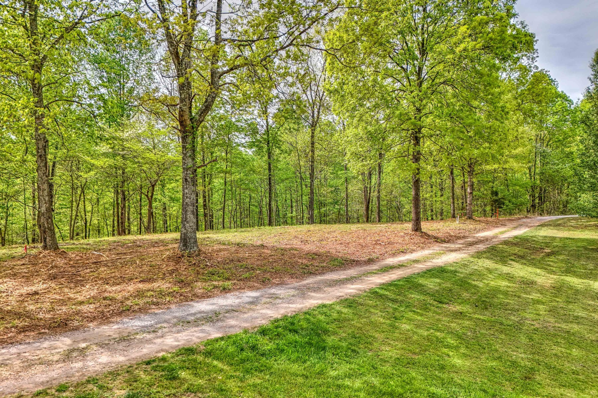 0 Rbk Lane Bethpage TN 37022