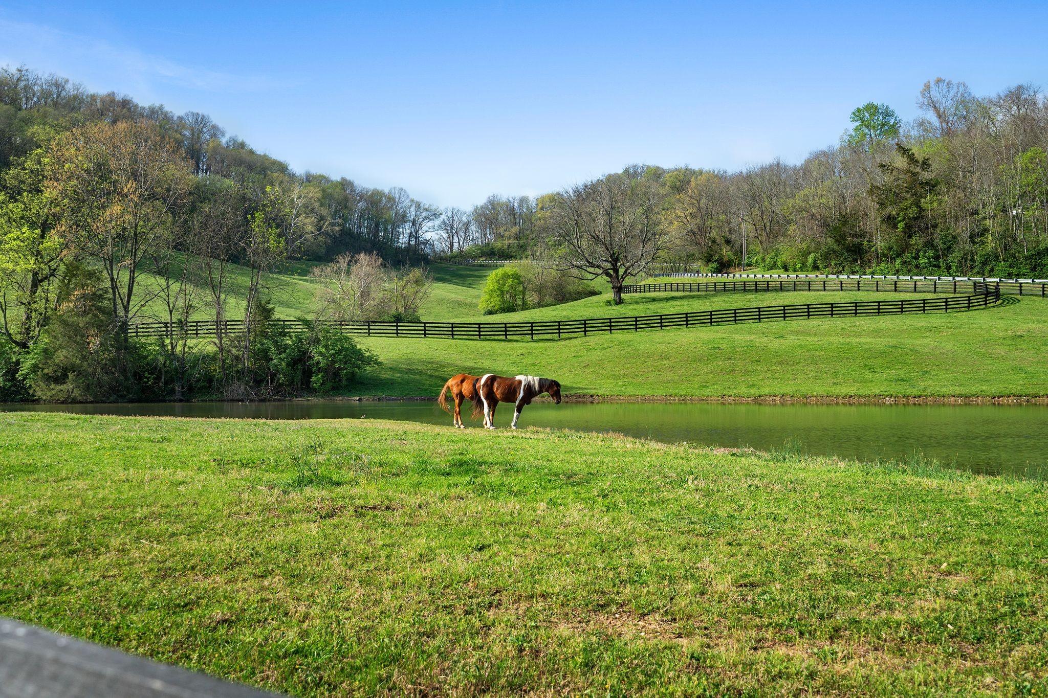 3021 Smith Lane Franklin TN 37069