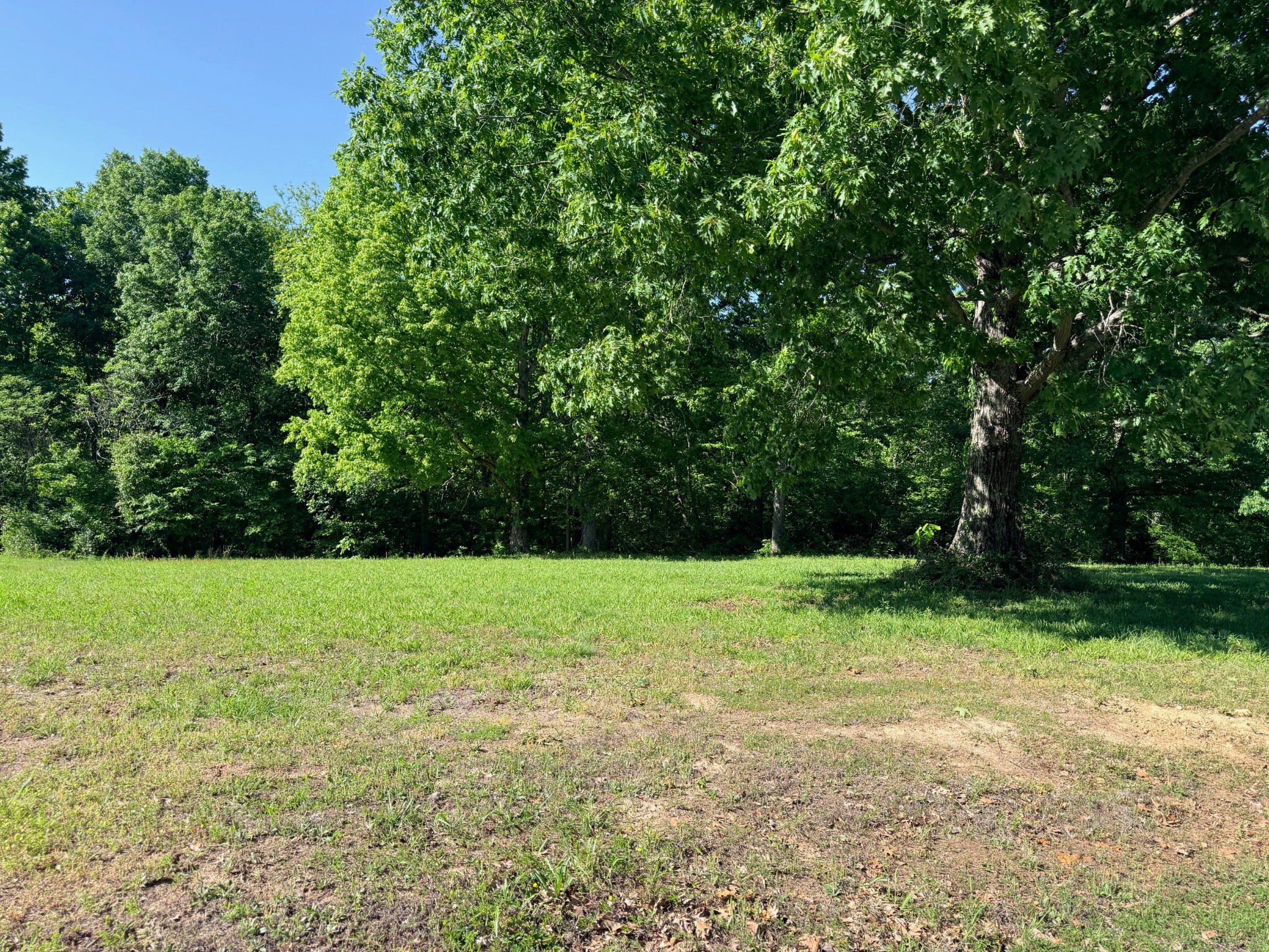 0 Highwater Road Waverly TN 37185