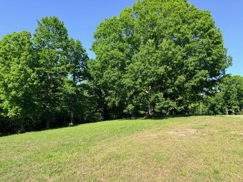 0 Highwater Road Waverly TN 37185