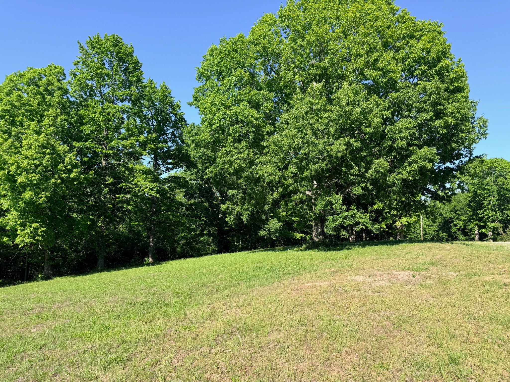 0 Highwater Road Waverly TN 37185