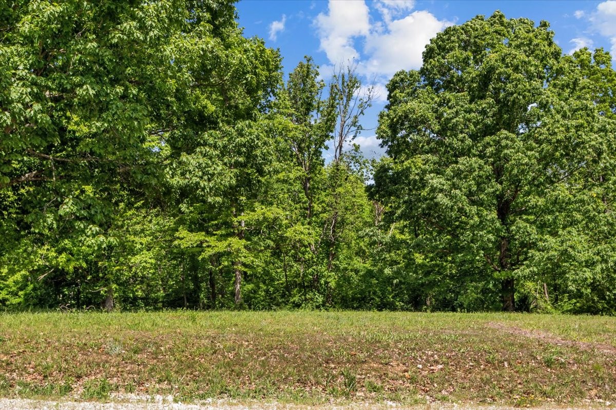 0 Highwater Road Waverly TN 37185