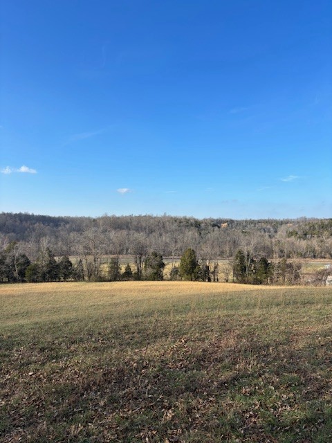 3927 Highway 70, E Waverly TN 37185