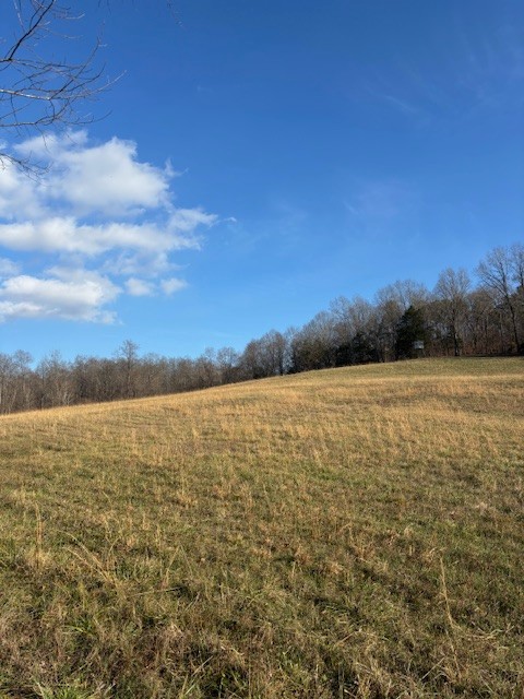 3927 Highway 70, E Waverly TN 37185