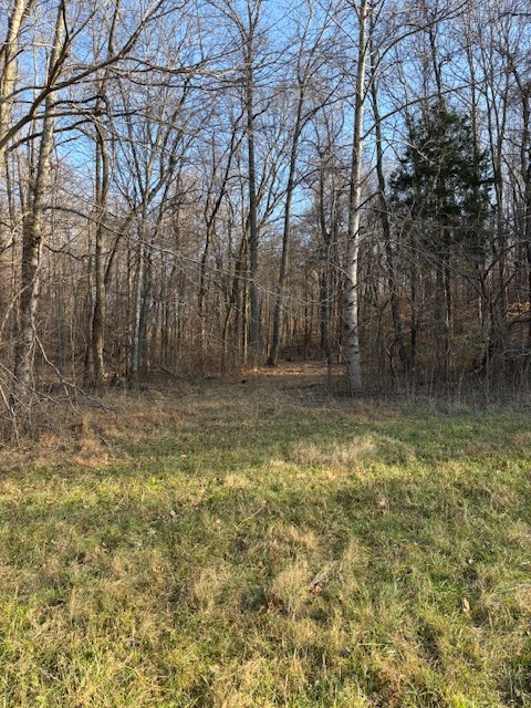 3927 Highway 70, E Waverly TN 37185