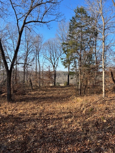 3927 Highway 70, E Waverly TN 37185