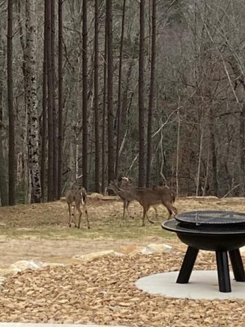 5420 Raulston Falls Road Jasper TN 37347