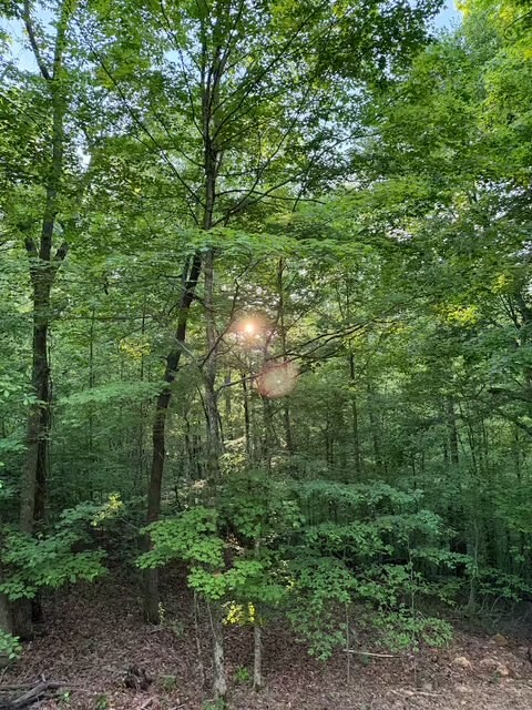 1048 Turkey Creek Boat Dock Road Tullahoma TN 37388