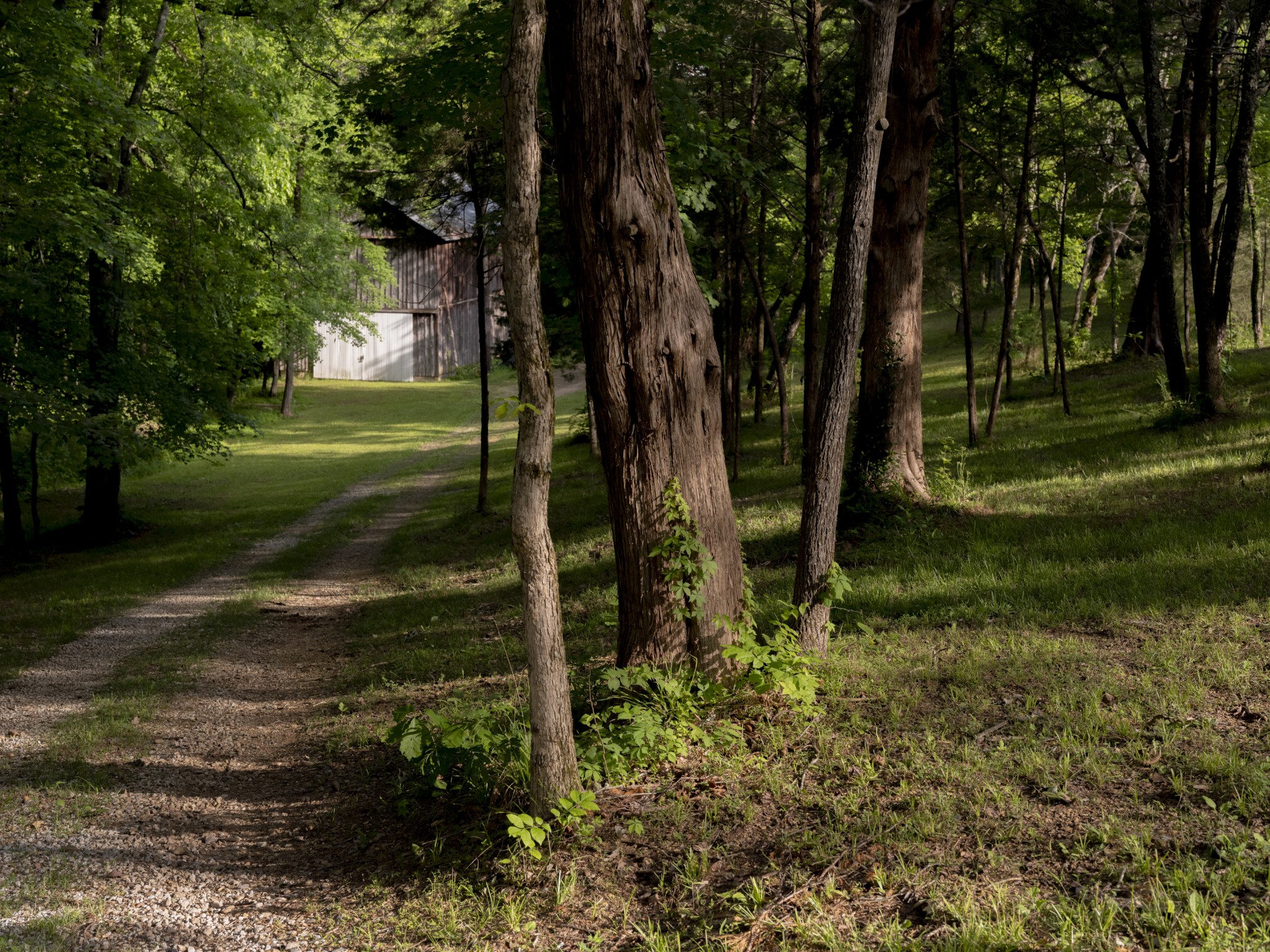 1098 Fred Gibbs Road White Bluff TN 37187