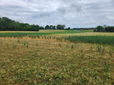 0 Fredonia Road Manchester TN 37355