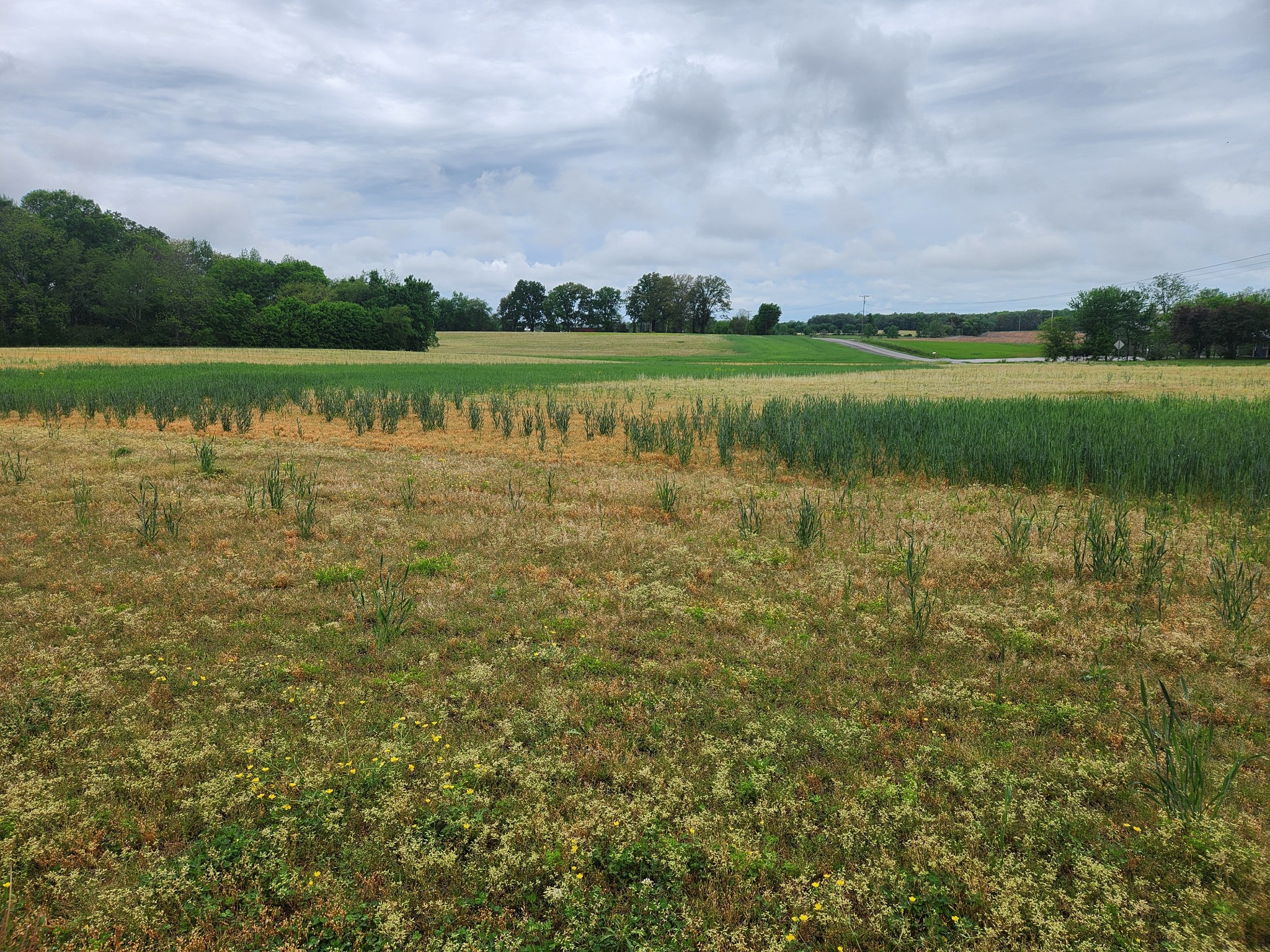 0 Fredonia Road Manchester TN 37355