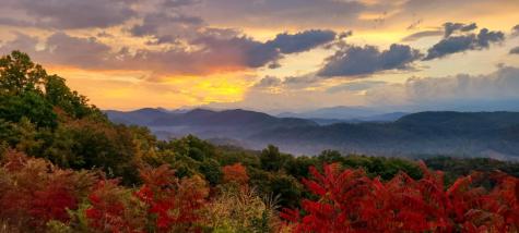 194 Cold Springs Trace Townsend TN 37882