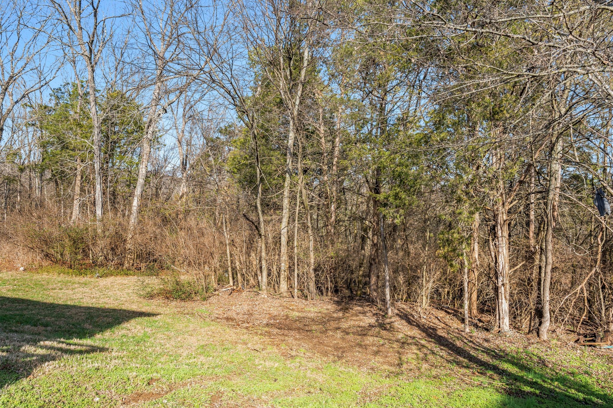 708 Flint Ridge Drive Whites Creek TN 37189