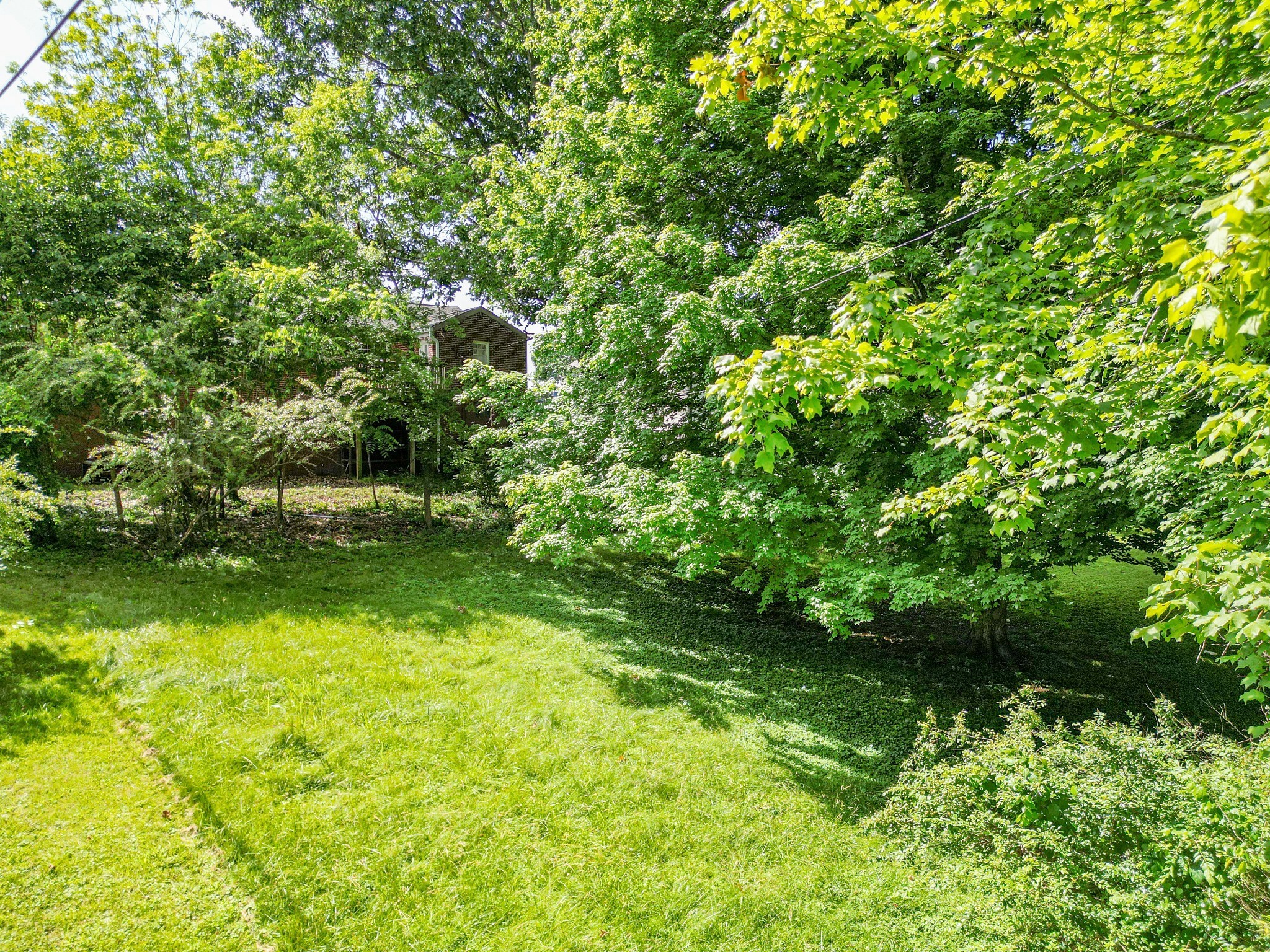 1204 Rolling Fields Drive Columbia TN 38401