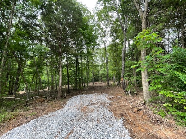 4587 Chapel Hill Road Southside TN 37171