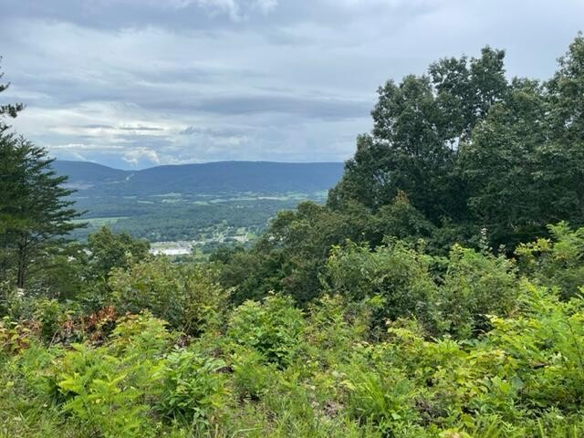 0 Harwood Lane Pikeville TN 37367