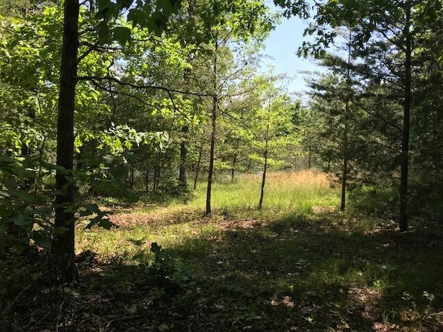 100 Bluff View Drive Dunlap TN 37327