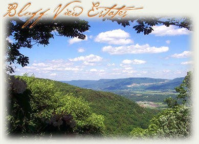 100 Bluff View Drive Dunlap TN 37327