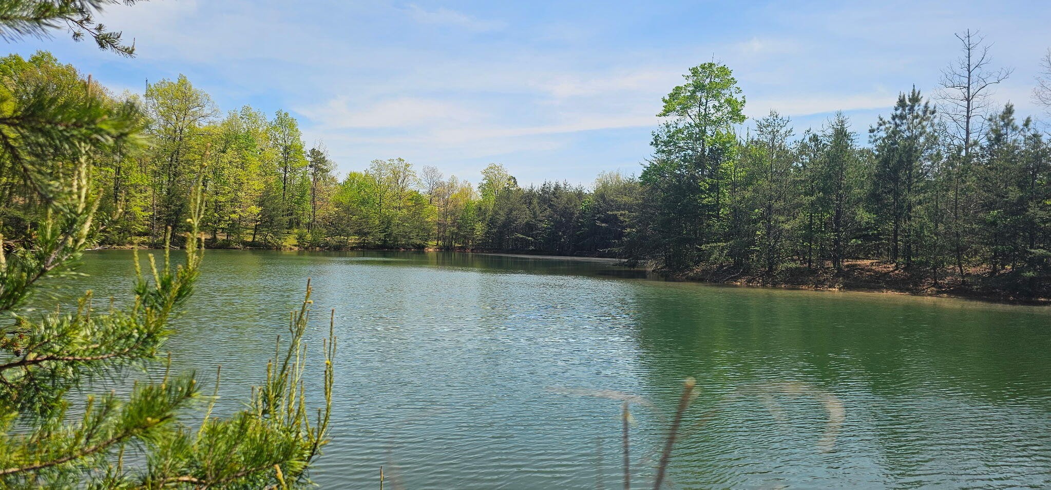 100 Bluff View Drive Dunlap TN 37327