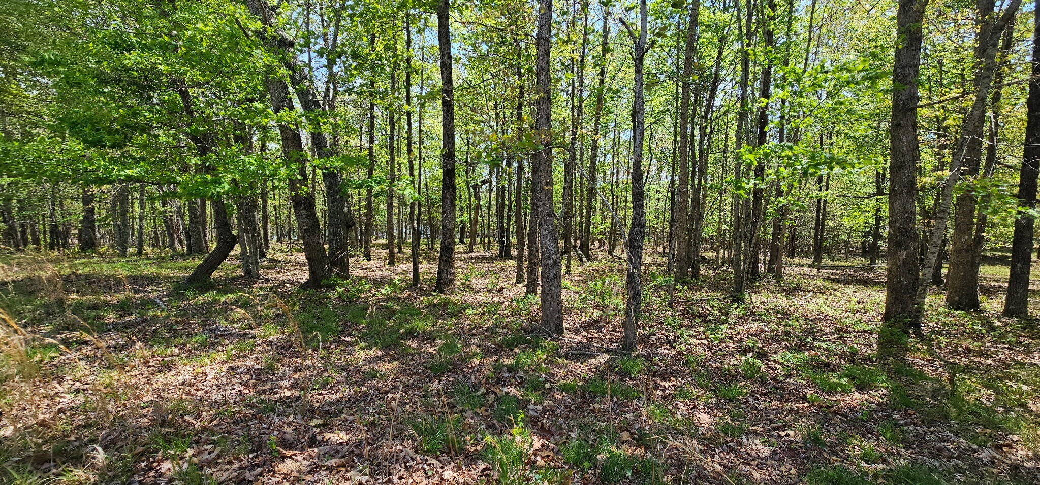 100 Bluff View Drive Dunlap TN 37327