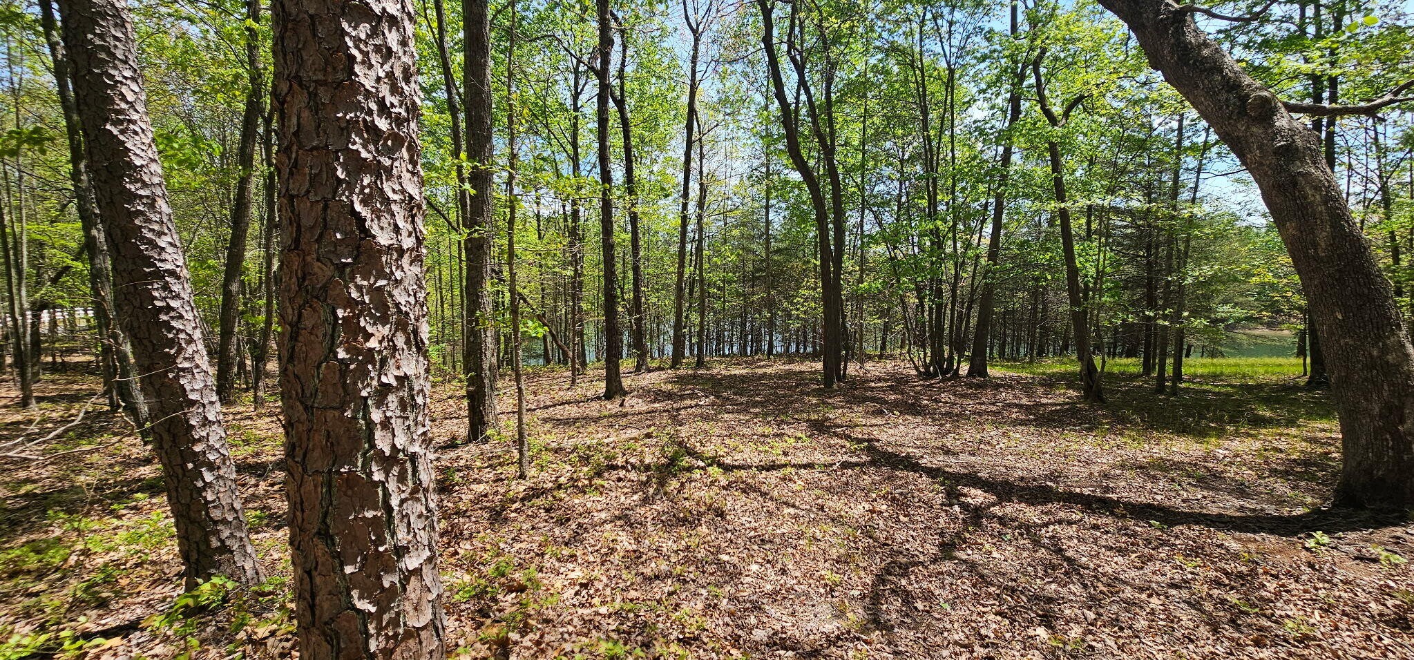 100 Bluff View Drive Dunlap TN 37327