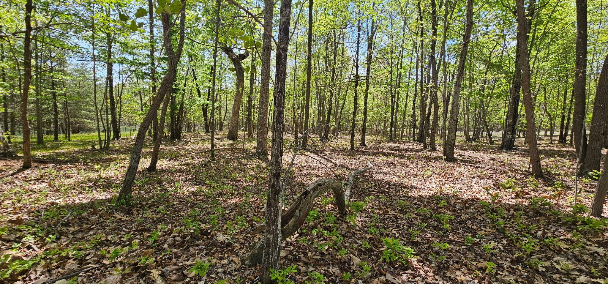 100 Bluff View Drive Dunlap TN 37327