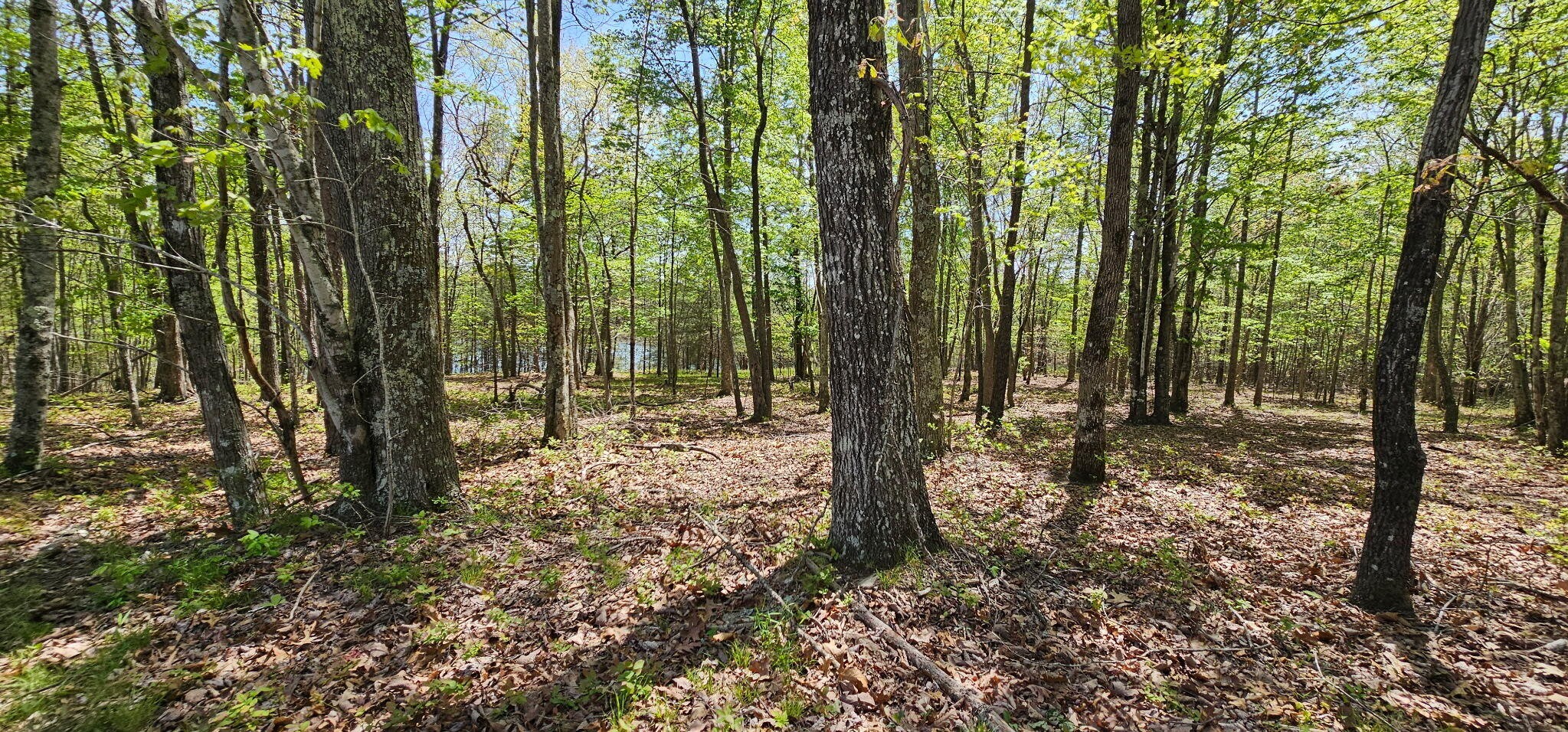 100 Bluff View Drive Dunlap TN 37327