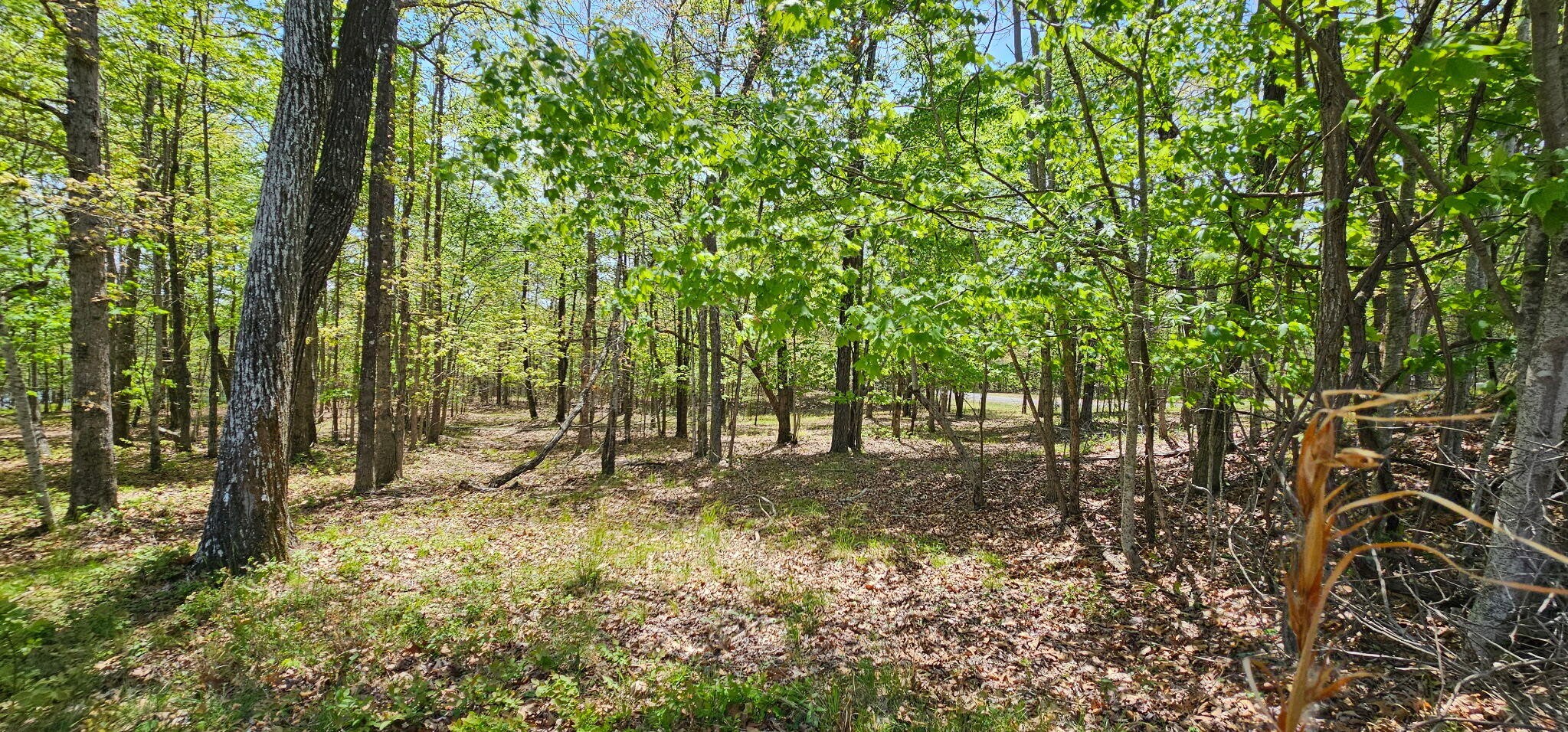 100 Bluff View Drive Dunlap TN 37327