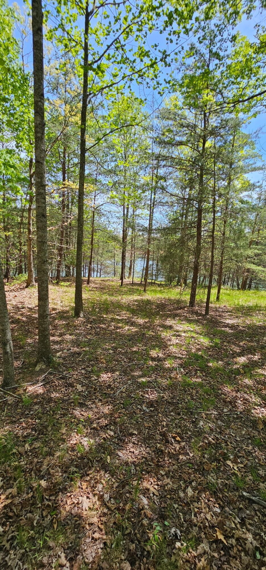 100 Bluff View Drive Dunlap TN 37327