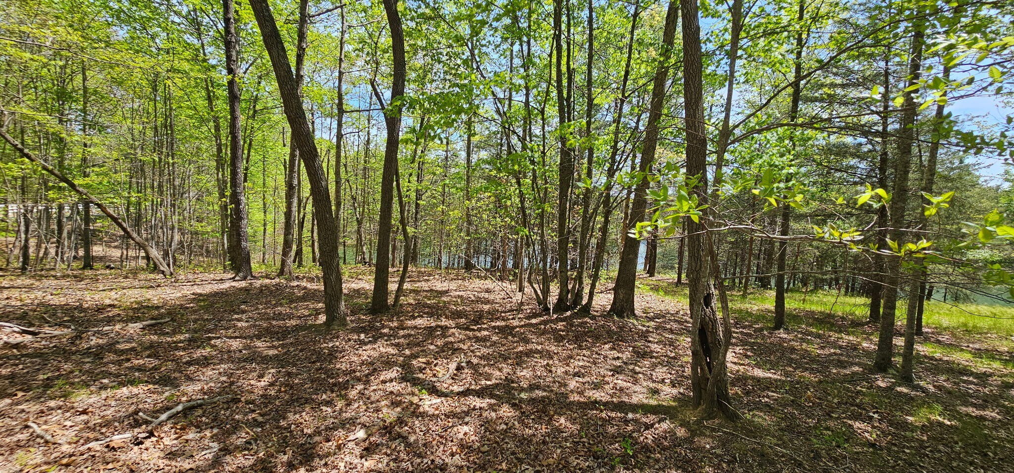 100 Bluff View Drive Dunlap TN 37327