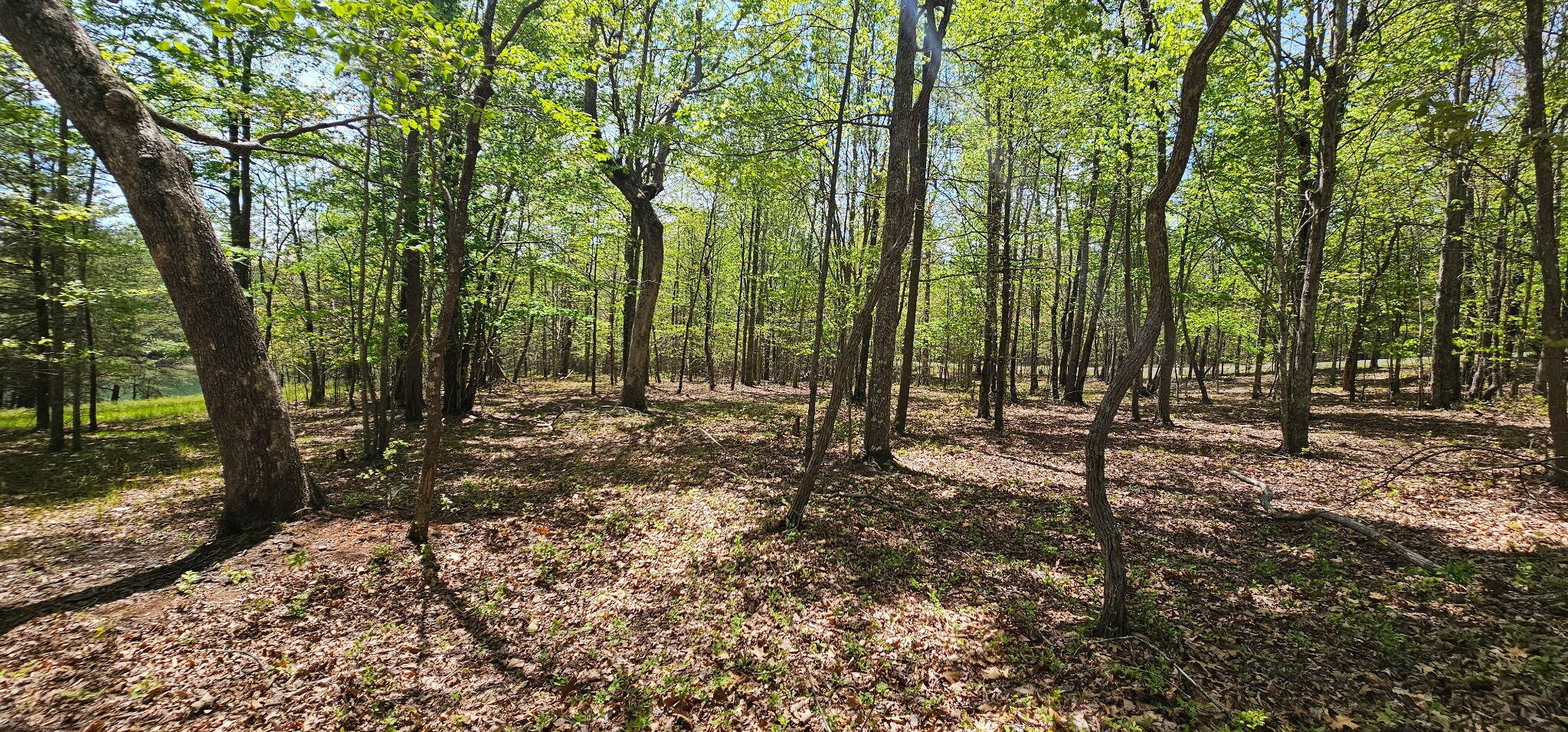 100 Bluff View Drive Dunlap TN 37327