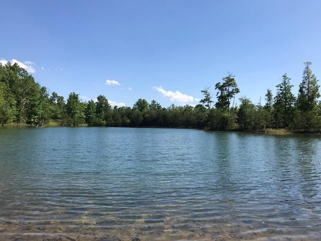 100 Bluff View Drive Dunlap TN 37327