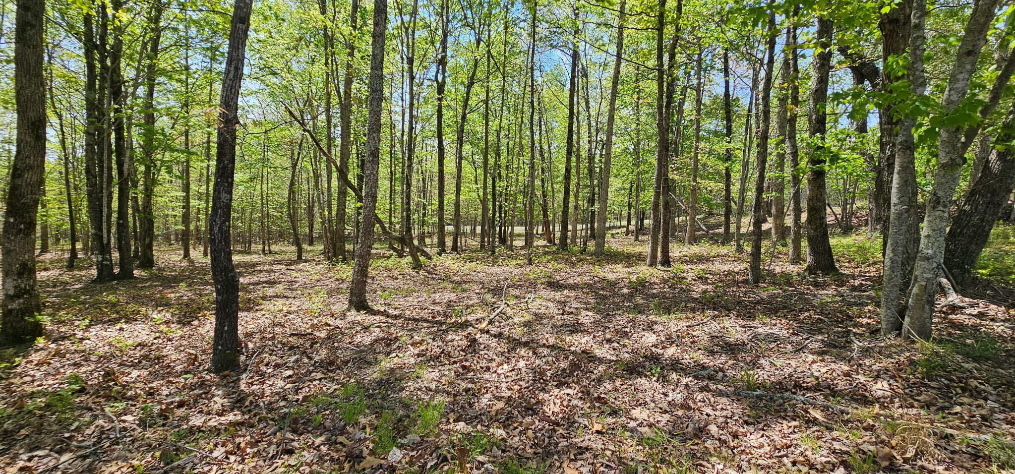 100 Bluff View Drive Dunlap TN 37327