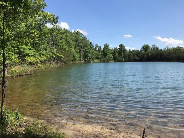 100 Bluff View Drive Dunlap TN 37327