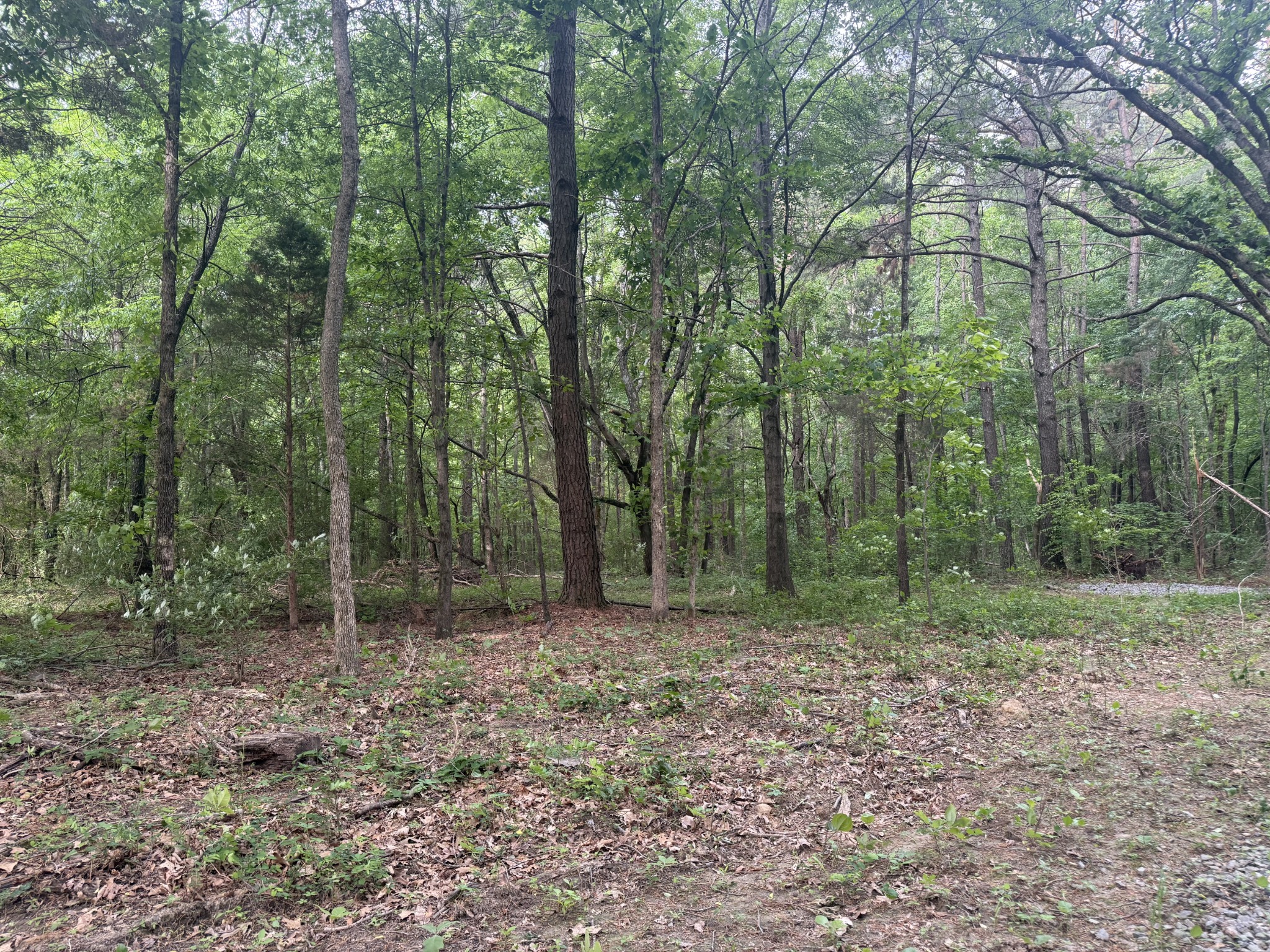 322 Kaiser Road Dickson TN 37055