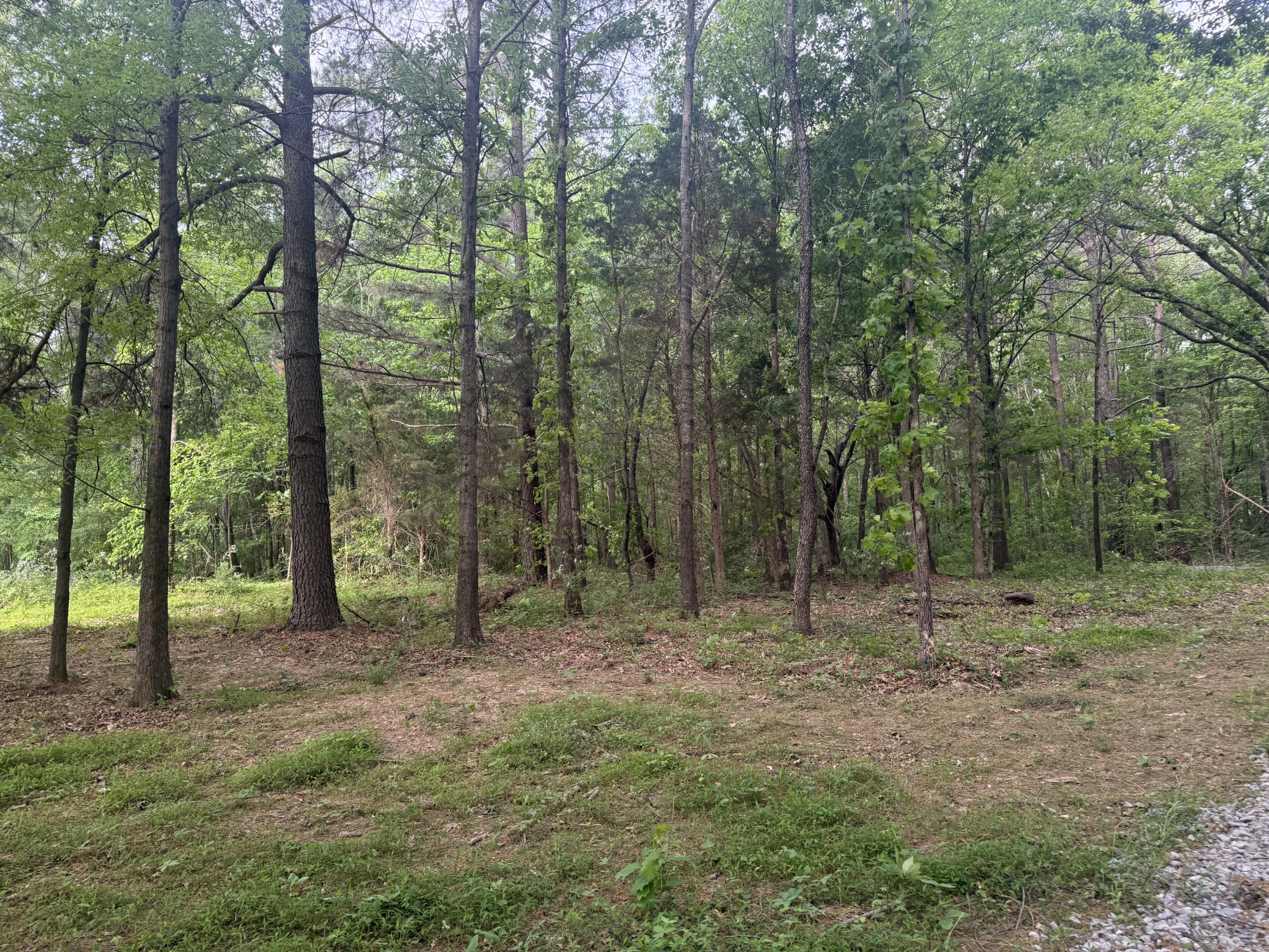 322 Kaiser Road Dickson TN 37055