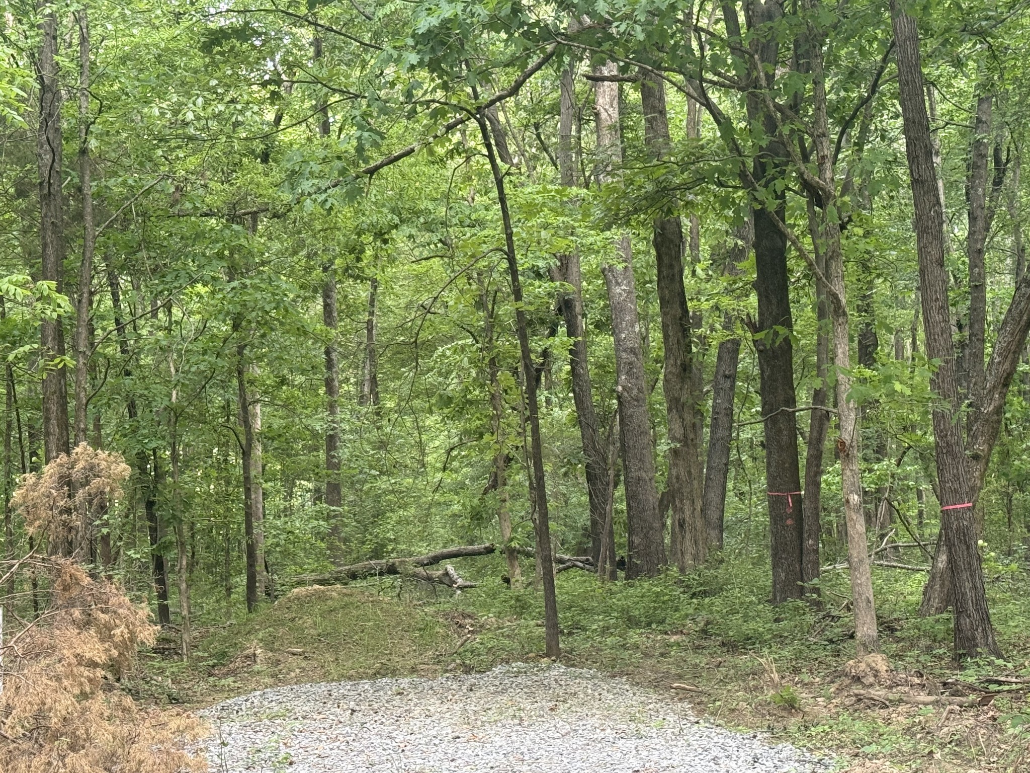 322 Kaiser Road Dickson TN 37055