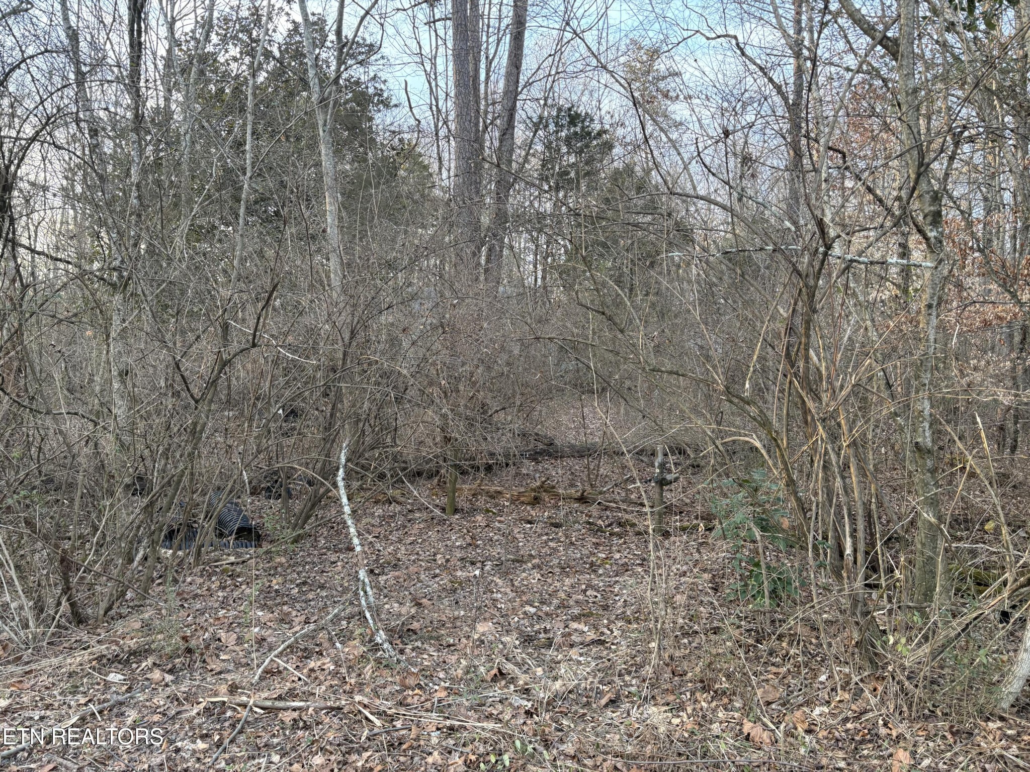 8188 E Town Creek Road Lenoir City TN 37772
