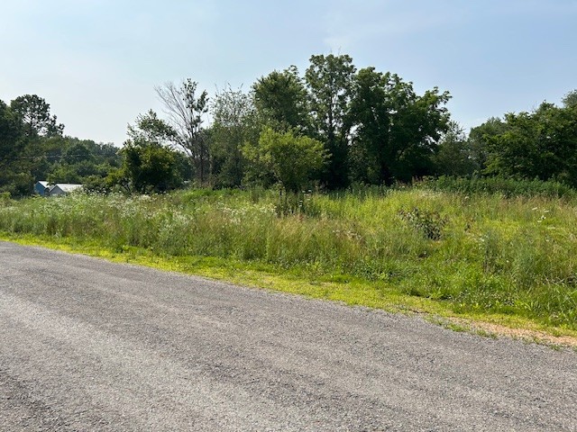 2329 Wayne Road Bon Aqua TN 37025