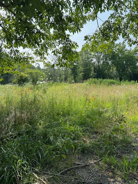 2329 Wayne Road Bon Aqua TN 37025