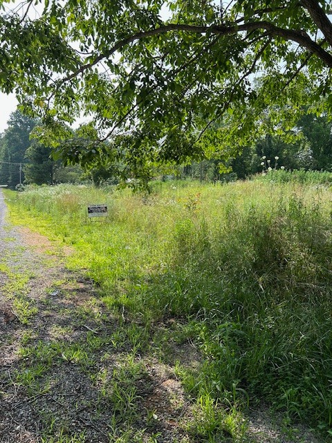 2329 Wayne Road Bon Aqua TN 37025