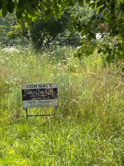 2329 Wayne Road Bon Aqua TN 37025