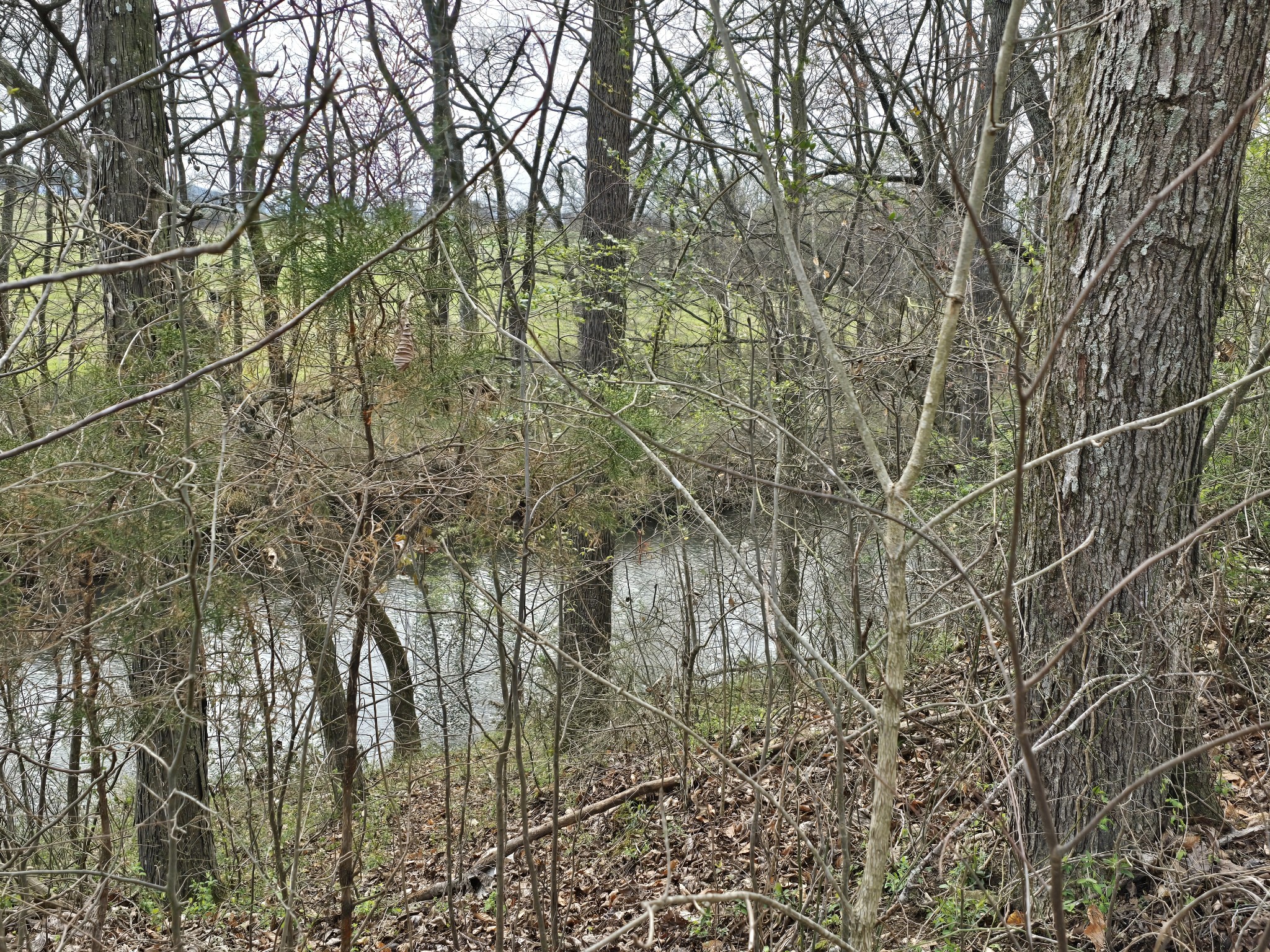 6579 Vervilla Road Morrison TN 37357