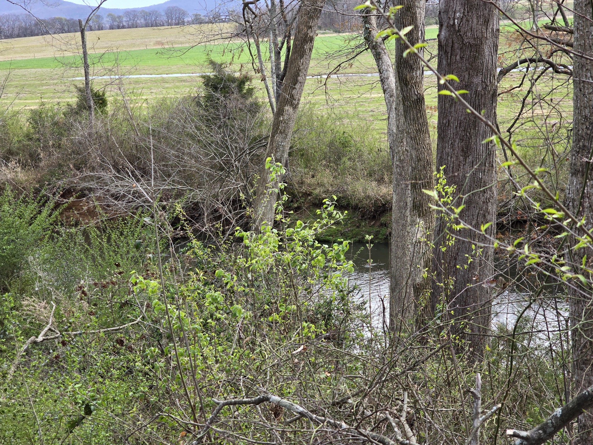 6579 Vervilla Road Morrison TN 37357
