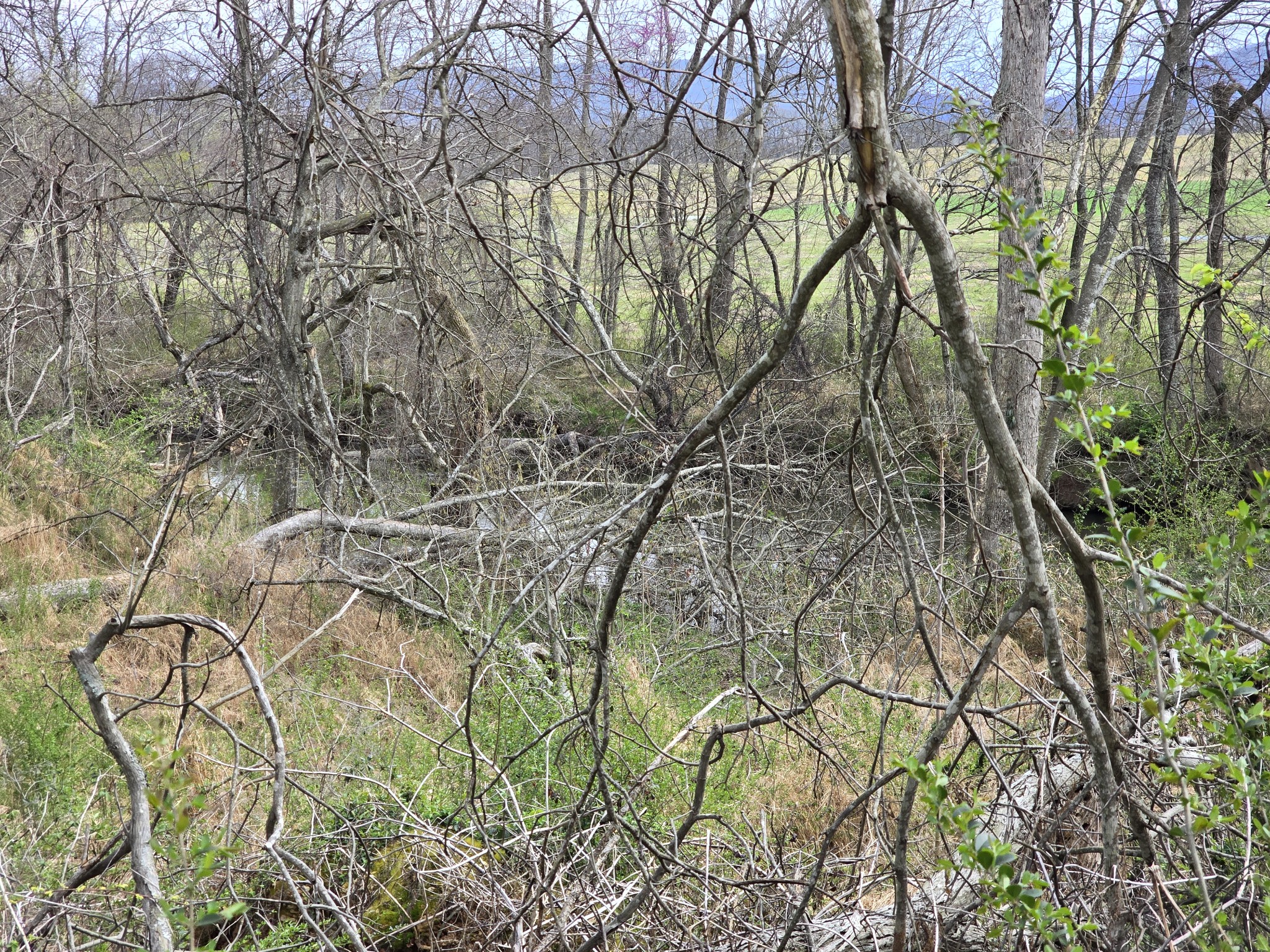 6579 Vervilla Road Morrison TN 37357