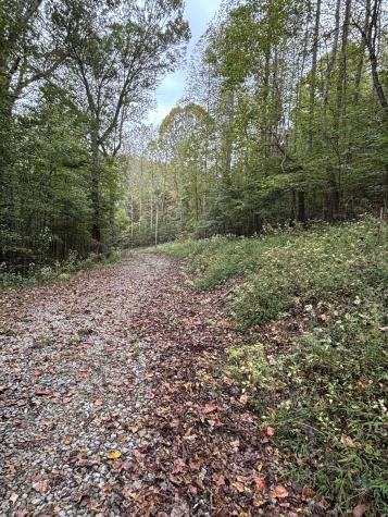 154 Plantation Drive Manchester TN 37355