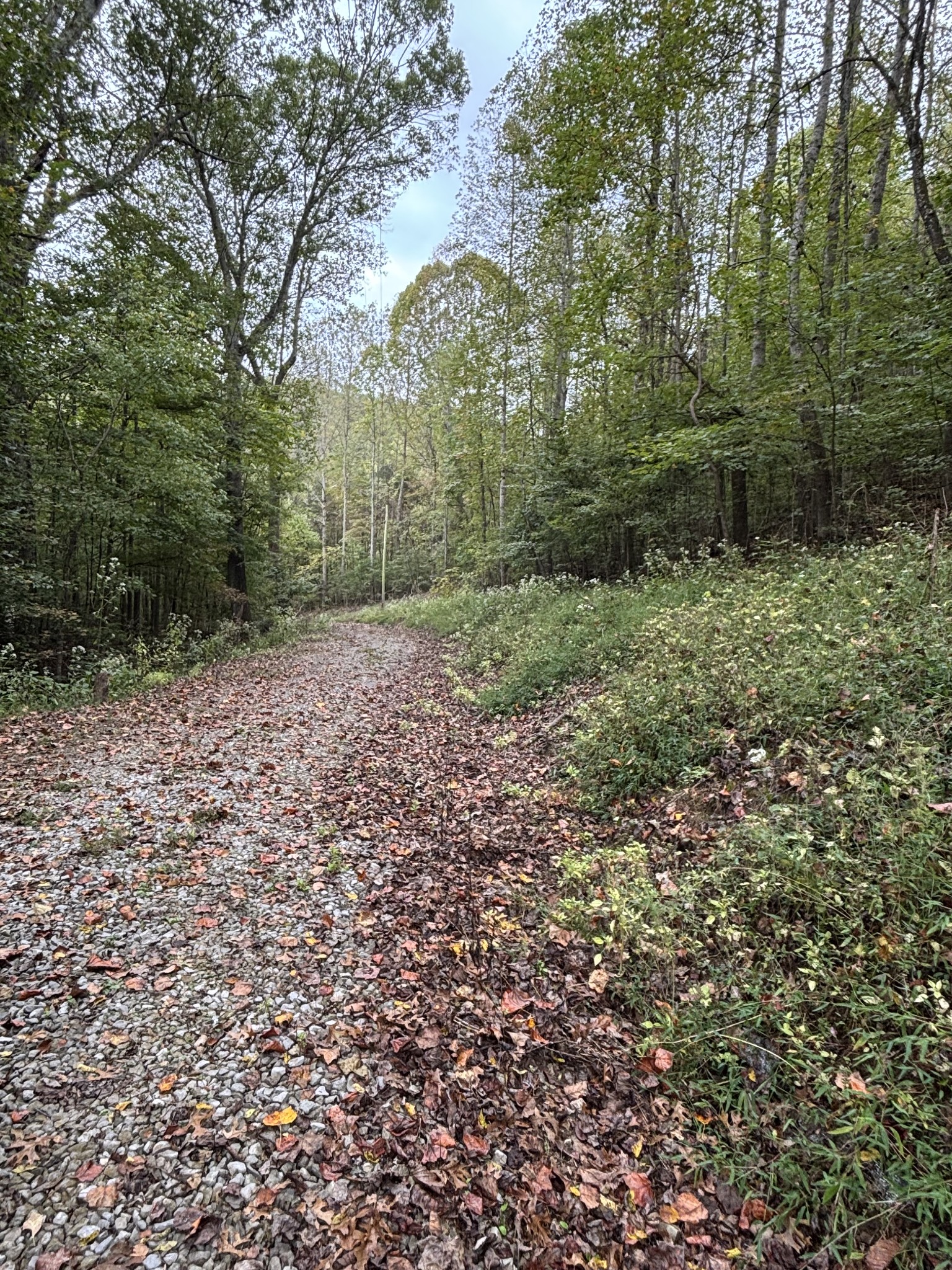 154 Plantation Drive Manchester TN 37355